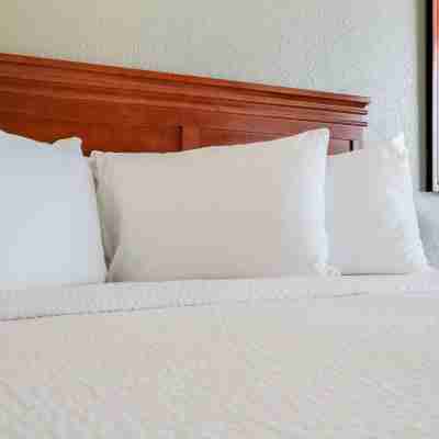 拉姆西飯店和會議中心 Rooms