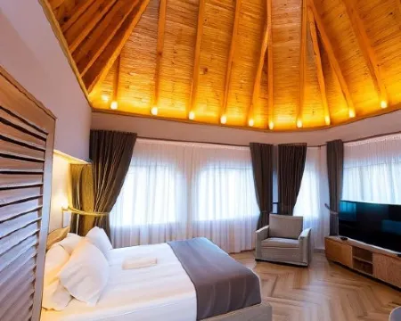 Hotel VILA 101 Hotels in Tirana