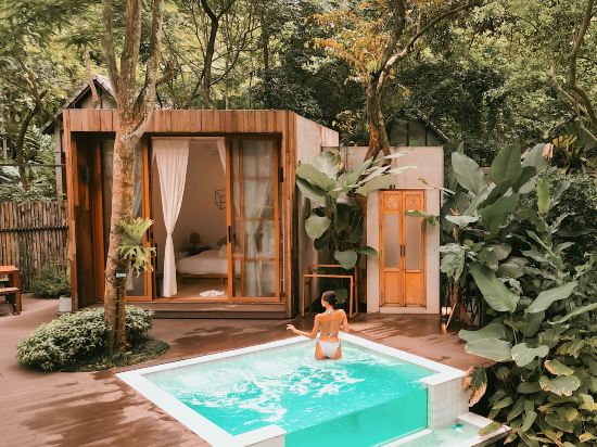 พราวภูฟ้าแม่ริม