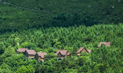 Forest Village Hotels and Resorts Beijing