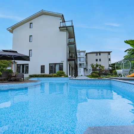 PALMETTO·Pool·Pampered Garden Meisu