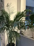 Beina's key apartment - مطابخ