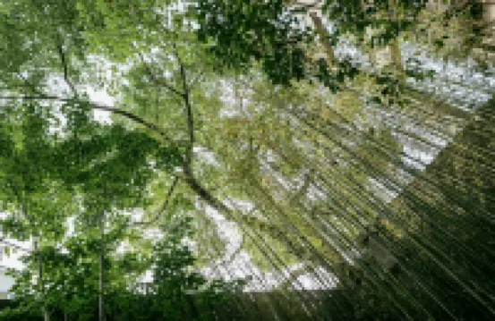 the yard hotel Shanghai