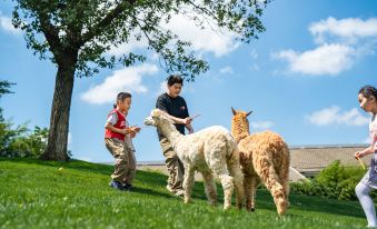 Qinglongshanzhuang Hotel