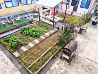 Ding Xiang Guizhen Homestay