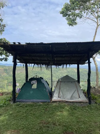 Thrill Playgrounds & Tipi Cafe