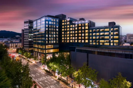 NINE TREE BY PARNAS SEOUL INSADONG