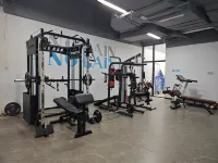 Zizai Forest - Gym