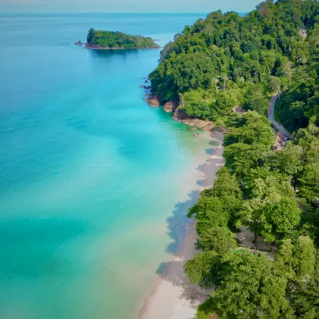 Beach Jungle - Koh Chang