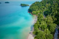 Beach Jungle - Koh Chang - bar