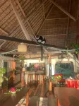 Aurora Lodge - Quầy bar
