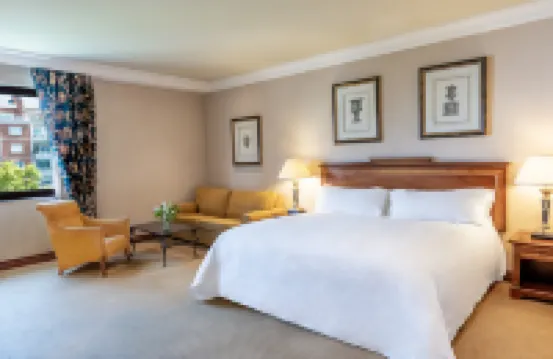 InterContinental Hotels 馬德里洲際酒店