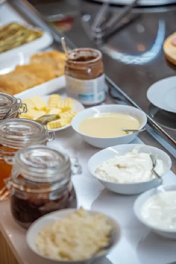 Orbeli Hotel Yerevan Отели рядом с достопримечательностью «Кавказские горы»