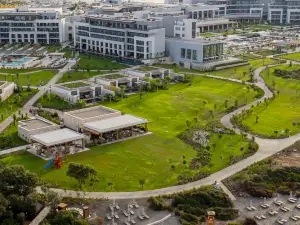 Popular Scenic Hotels in Aydin Province