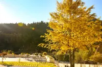 Floral Lux Hotel · Mountain View Terrace Hotel