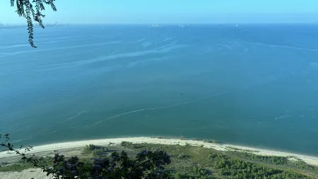 Carnelian Tower Forest City Отели рядом с достопримечательностью «Forest City»