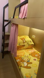 深セン元氣貓醬青年旅舍