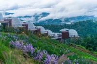 The View Homestay Monjam