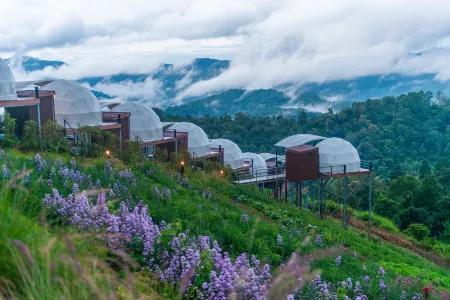 The View Homestay Monjam Отели рядом с достопримечательностью «Bai Orchid and Butterfly Farm»