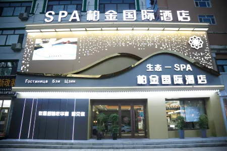 Platinum International Hotel (Tongjiang Russian Style Park Branch) Отели в г. Тунцзян