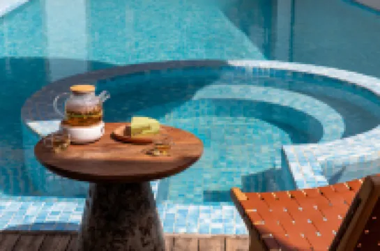 悅楊裏·Garden野奢｜360°夜攬漫天星河度假民宿（束河古鎮店）