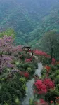 Hua'an International Holiday Hotel - Mountain view