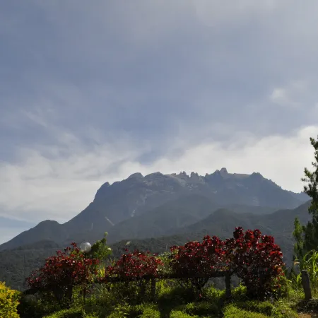 Kinabalu Rose Cabin