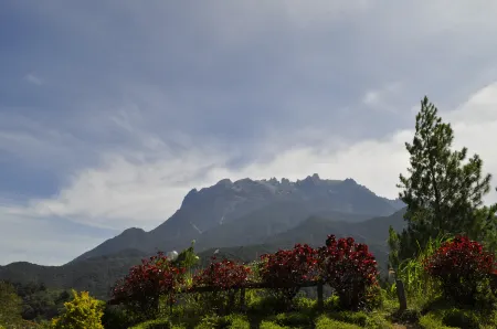 Kinabalu Rose Cabin