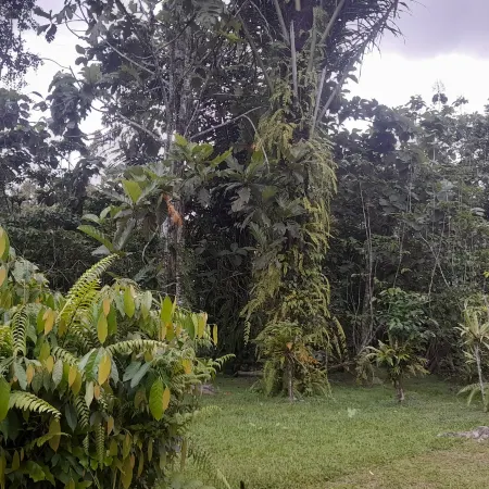 Bali Home Taksu Отели рядом с достопримечательностью «Храм Батукару»