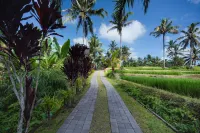 Puri Diamond Villas - pemandangan pegunungan