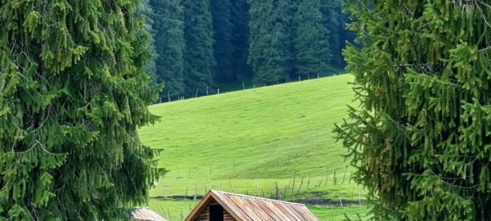 NOMAD Nuoman Vacation Apartment Hotels in Tekes County