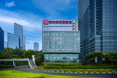 Chongqing Central Business District Jiangbeizui Hilton Garden Hotel - Rooftop Pools