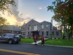 New York Home | Luxury Homestay in Prestigious Bayside, Queens