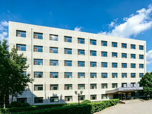 Beijing Camic Inn - piscina