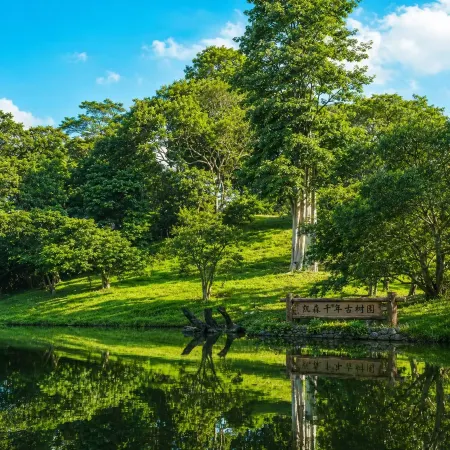 Kaisen Millennium Ancient Tree Garden (Sen LOVE Store)
