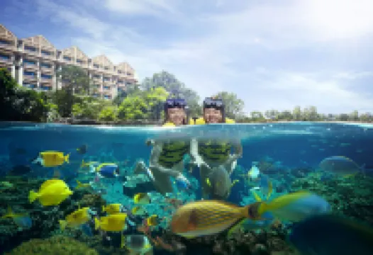 รีสอร์ท เวิลด์ เซนโตซา - โรงแรมไมเคิล