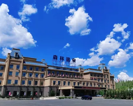 Yabuli Forest Hot Spring Hotel Hotels in Shangzhi