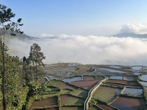 元陽雲田山居民宿