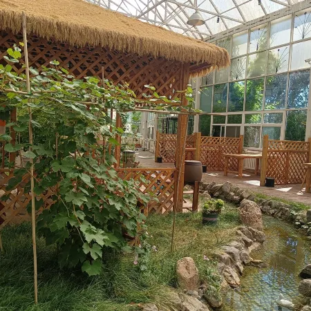 Qingguo Tree House Camping Hotel