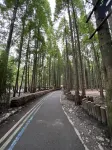 Yanyu Qingcheng Dream Garden Vacation Apartment (Qingchengshan Town) - สระว่ายน้ำส่วนตัว
