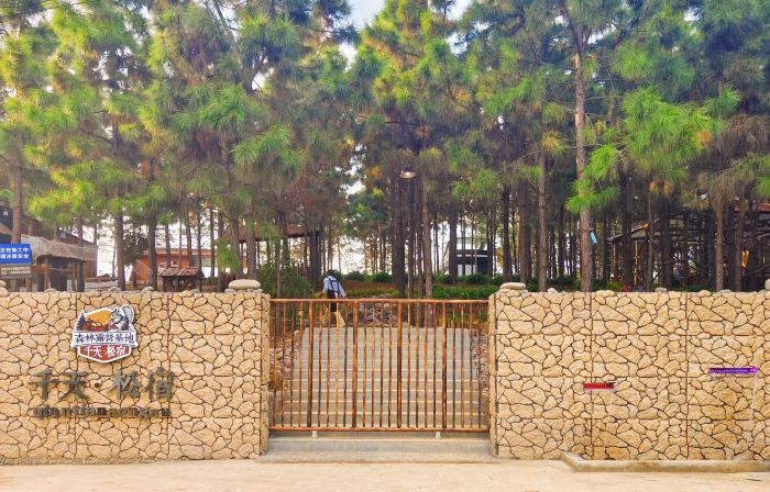 Qiantian Songsu Forest Camping Base