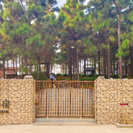 Qiantian Songsu Forest Camping Base