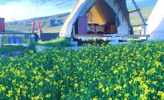 Qinghai Lake Tongbao Mountain Mountaineering and Lake Viewing Featured Wild Luxury Camping Homestay