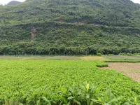 Yangshan County Small Town Renjia