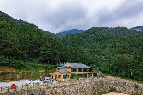 Wandering Forest Homestay (Nan Wudang Ski Resort) - parking