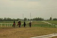 Troon Equestrian Camp