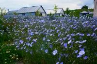 Yunbian Homestay Hotels in Zhaosu