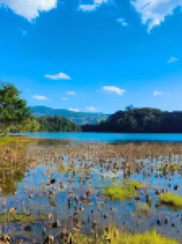 Ximeng Dongzhai Hotel