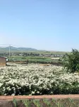 Yilindebao Hotel