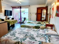 Family studio with AC, parking, terrace 600m RER B, direct to ND of Paris